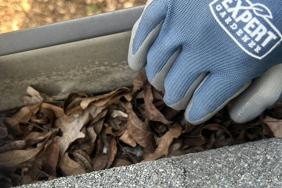 Gutter Cleaning Hopewell