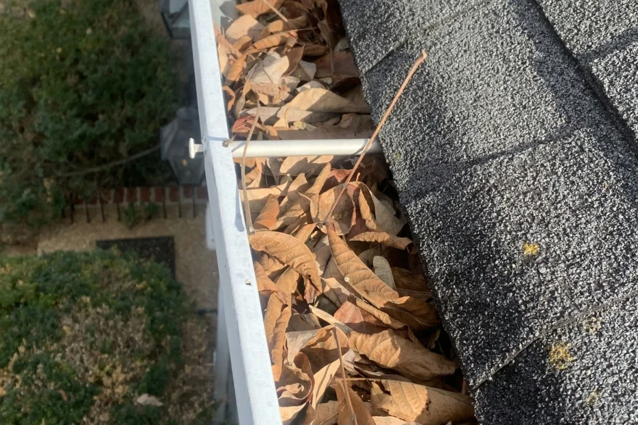 Gutter Cleaning Hopewell