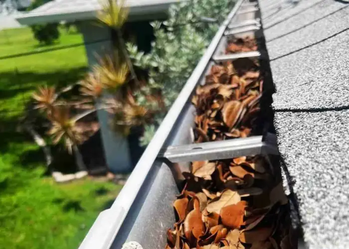 Gutter Cleaning Hopewell home page